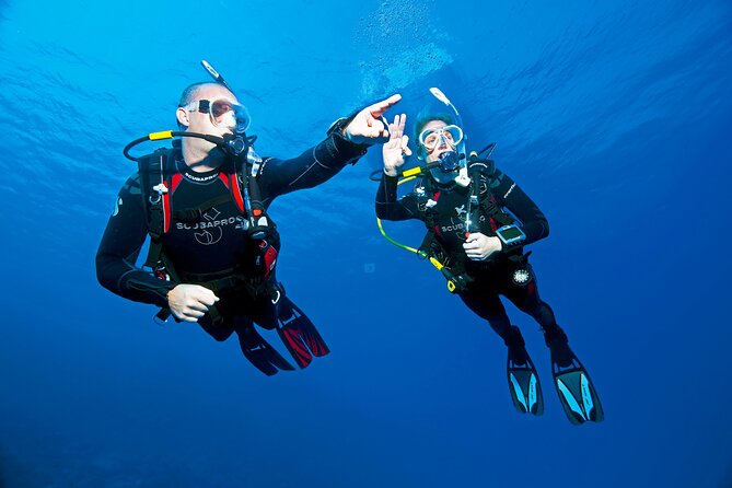 Two Morning Dives in Gozo for Certified Diver - What the $181.02 price includes