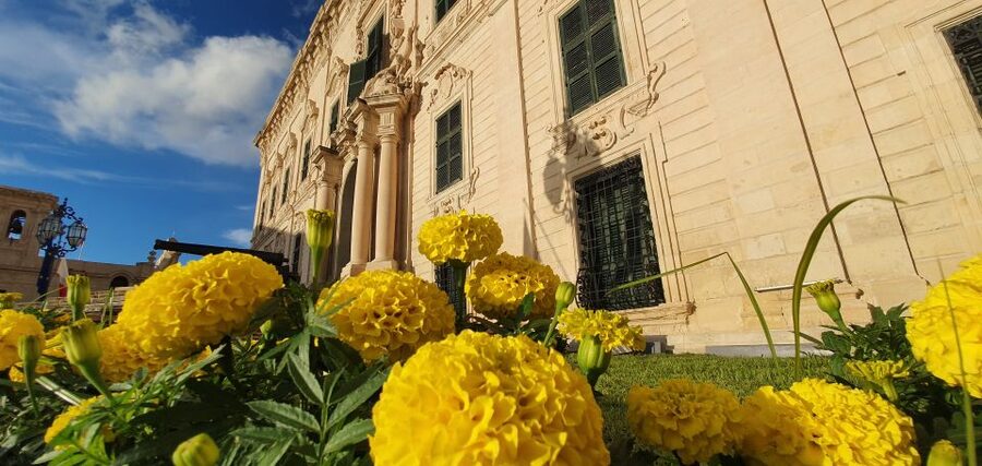 Valletta: City Walking Tour in a Small Group - Lower Barrakka Gardens: a pause with a different view