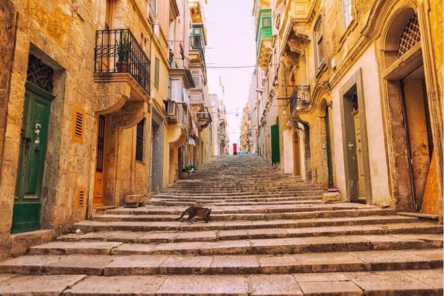 Valletta: Guided Walking Tour - Valletta Food Market and the City’s Everyday Side