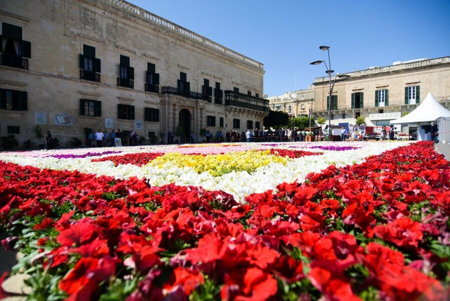 Valletta: Street Food and Culture Walking Tour - Valletta in Three Hours: The Quick Verdict