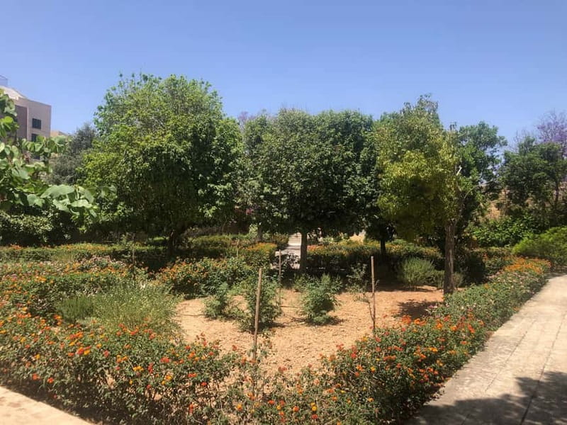 Visit Tarxien Temples, Kalanka Bay, Blue Grotto, Marsaxlokk - A full day across southern Malta